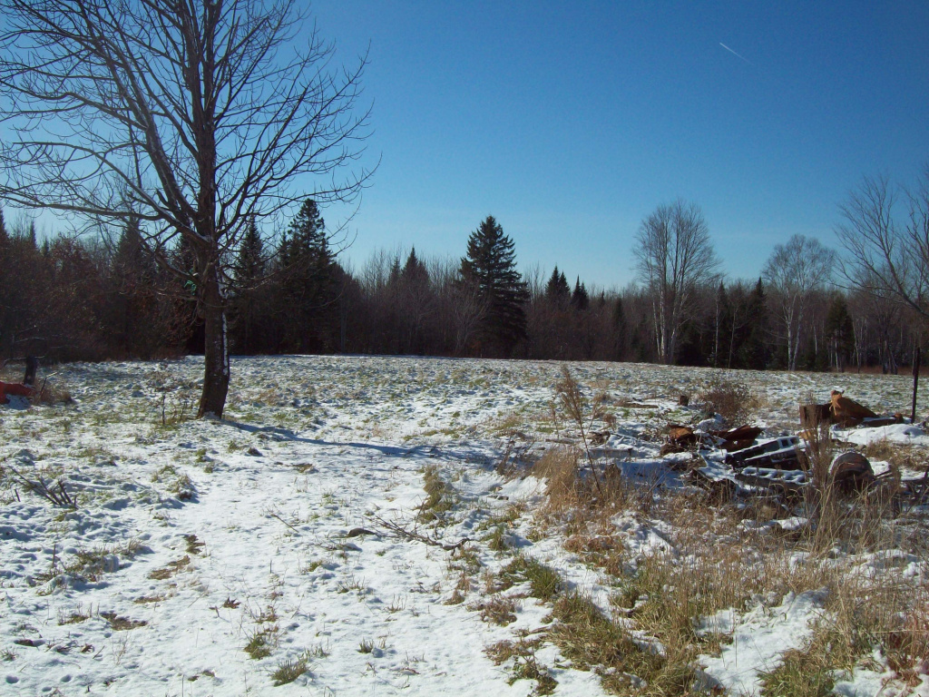 51 & 53 Andrews Road, Drew PLT, Maine 04497, 4 Bedrooms Bedrooms, 6 Rooms Rooms,1 BathroomBathrooms,House,Pending/ Under Contract,Andrews,1012