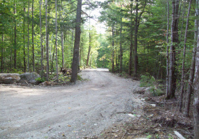 off Engstrom Road, T3 R1 NBPP, Maine 04455, ,Land,Active,off Engstrom,1015