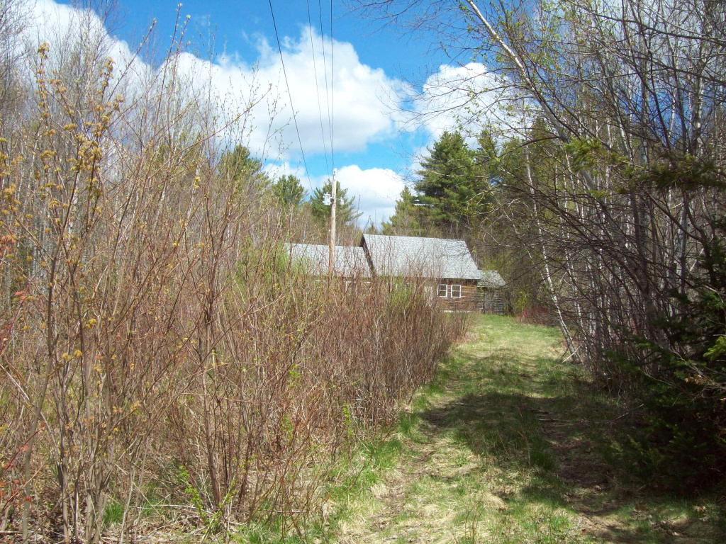 38 Andrews Road, Drew Plantation, Maine 04497, 2 Bedrooms Bedrooms, 4 Rooms Rooms,House,Pending/ Under Contract,1017