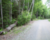 Pierce Webber Road, Lincoln, Maine 04457, ,Land,Active,Pierce Webber Road,1020