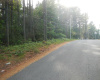 50 Evergreen Drive, Lincoln, Maine 04457, ,Land,Active,50 Evergreen Drive,1022