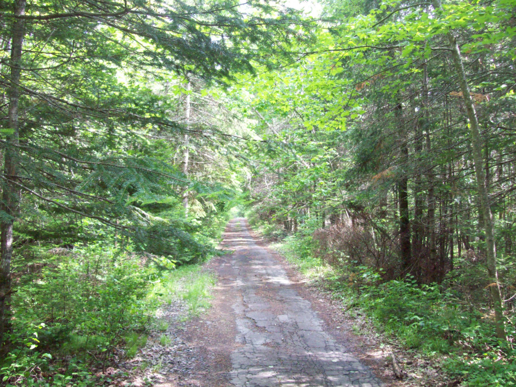 Old US Route 2, Macwahoc Plantation, Maine 04451, ,Land,Active,Old US Route 2,1023