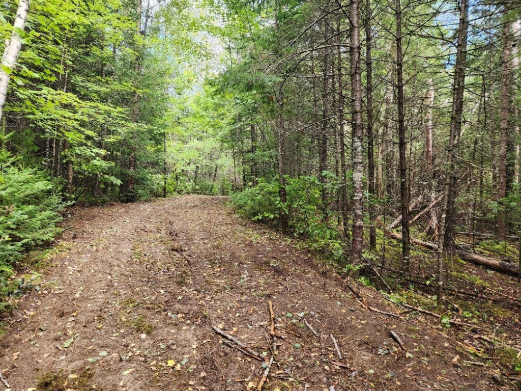 Old US Route 2, Macwahoc Plantation, Maine 04451, ,Land,Active,Old US Route 2,1023