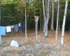 59 Hutch Farm Road, Enfield, Maine 04493, 1 Bedroom Bedrooms, 1 Room Rooms,Camp,Active Under Contract,59 Hutch Farm Road,1026