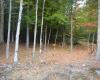 59 Hutch Farm Road, Enfield, Maine 04493, 1 Bedroom Bedrooms, 1 Room Rooms,Camp,Active Under Contract,59 Hutch Farm Road,1026