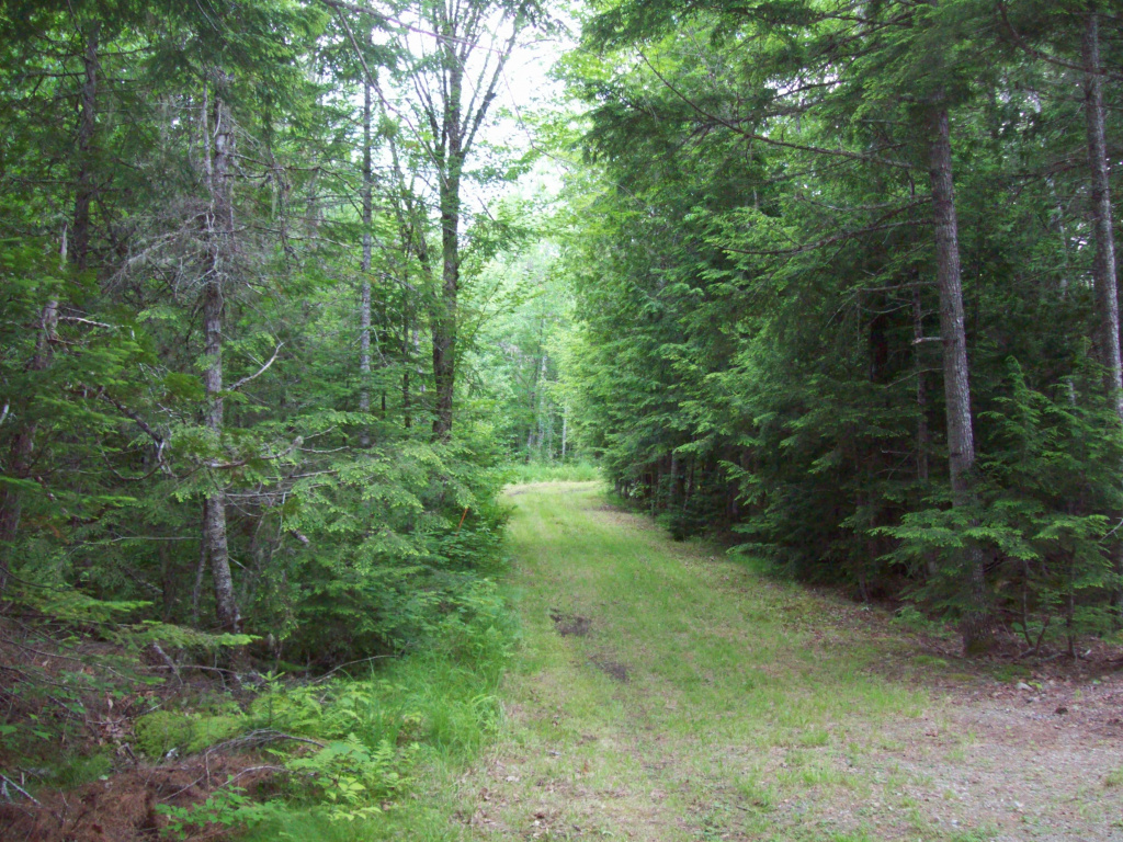 Ash Lane, Burlington, Maine 04417, ,Land,Active,Ash Lane,1027