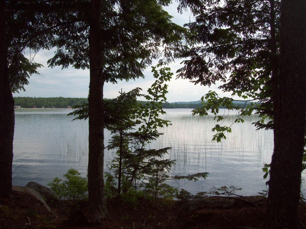 Ash Lane, Burlington, Maine 04417, ,Land,Active,Ash Lane,1027