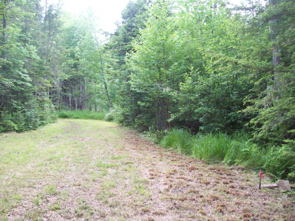 Ash Lane, Burlington, Maine 04417, ,Land,Active,Ash Lane,1027