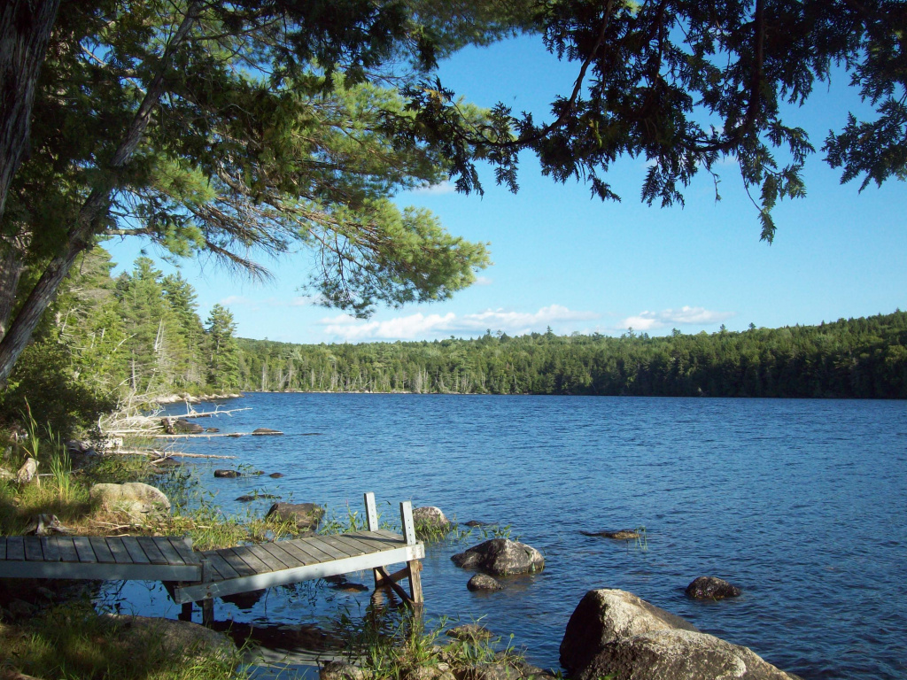 Bill Green Pond Road, T3 R1 NBPP, Maine 04455, 1 Bedroom Bedrooms, ,Waterfront Camp/House,Active,Bill Green Pond Road,1030