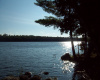 Bill Green Pond Road, T3 R1 NBPP, Maine 04455, 1 Bedroom Bedrooms, ,Waterfront Camp/House,Active,Bill Green Pond Road,1030