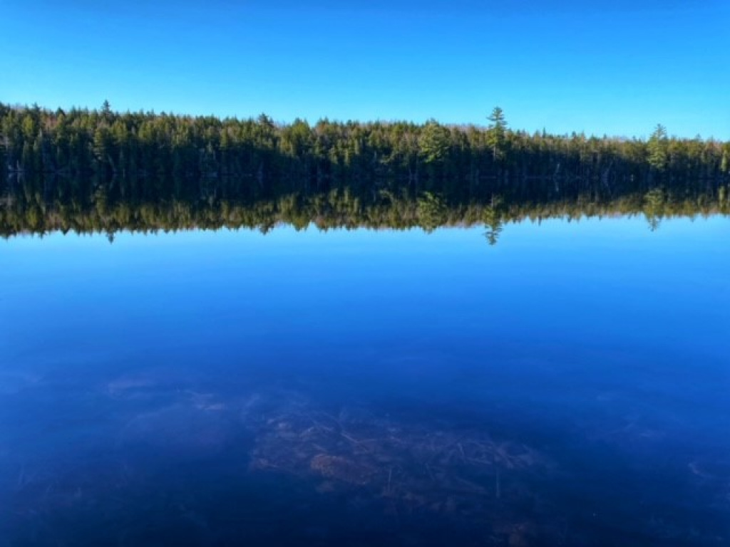 Bill Green Pond Road, T3 R1 NBPP, Maine 04455, 1 Bedroom Bedrooms, ,Waterfront Camp/House,Active,Bill Green Pond Road,1030