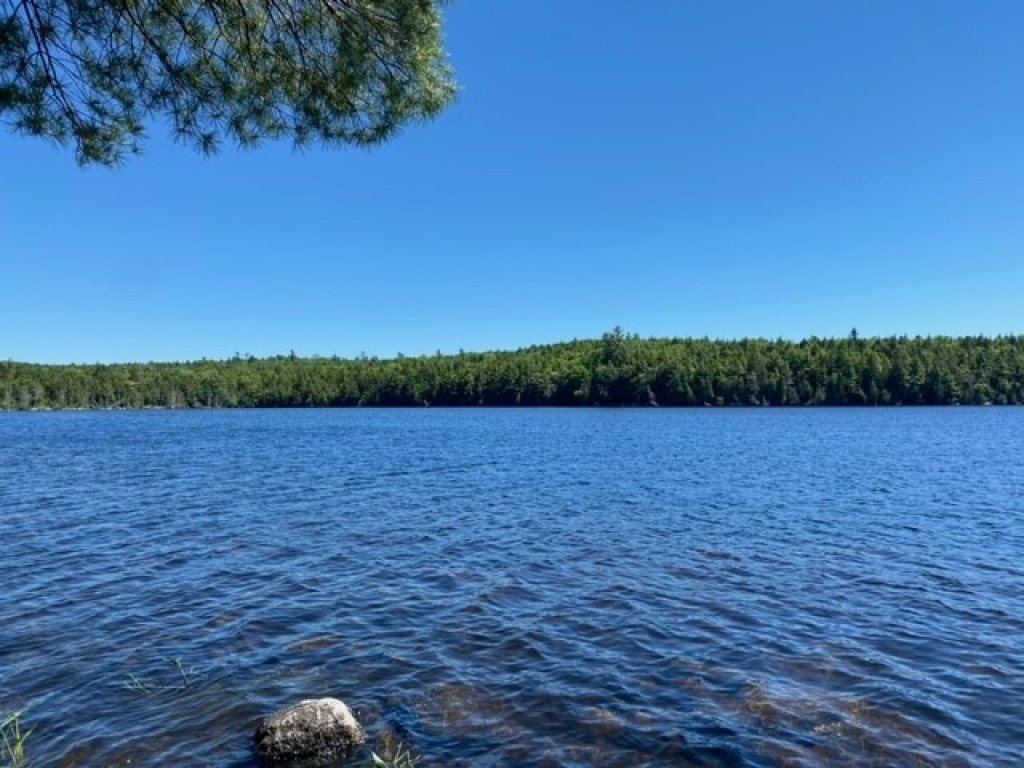 Bill Green Pond Road, T3 R1 NBPP, Maine 04455, 1 Bedroom Bedrooms, ,Waterfront Camp/House,Active,Bill Green Pond Road,1030